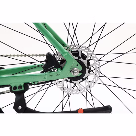 Passo leggero attraverso la bici elettrica per pendolari Bici sportiva Bicicletta da città Ebike