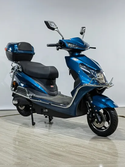 Vendita calda Servizio personalizzato Mini bici elettrica pieghevole E Bike Ebike Bicicletta elettrica Fat Bike Ciclo di stampaggio ad iniezione Moto con 48V 350W e fabbrica ODM / OEM