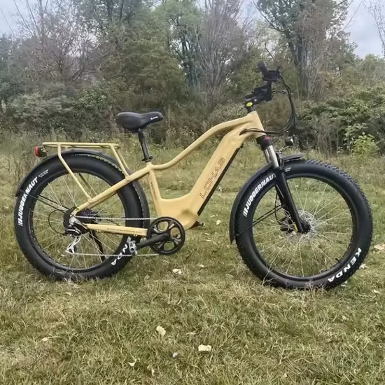 Bicicletta elettrica da città per pendolari con batteria al litio da 48 V 500 W per bici elettrica con rifornimento di fabbrica