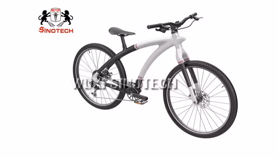 Bici da strada a 12 velocità in fibra di carbonio Bici da ghiaia Bicicletta da corsa Bicicleta Adulti
